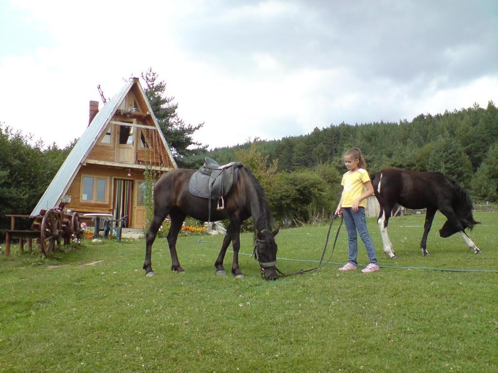 Rusaliite Adventure House Bachevo  Exterior photo